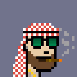 Saudis Punks #3403