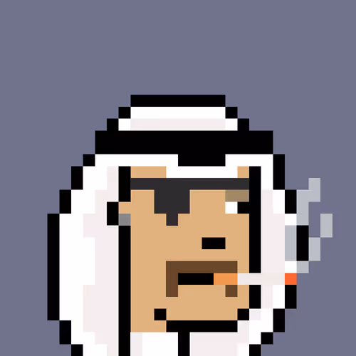 Saudis Punks