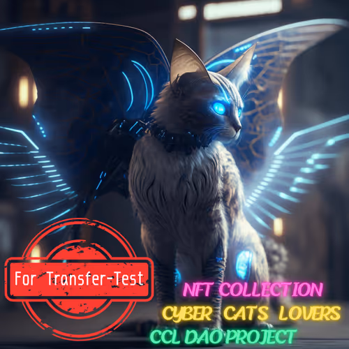 For Transfer-Test