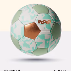 Rare Pookyball #8788