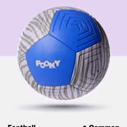 Common Pookyball #2316