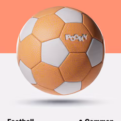 Common Pookyball #1377