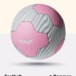 Common Pookyball #4613