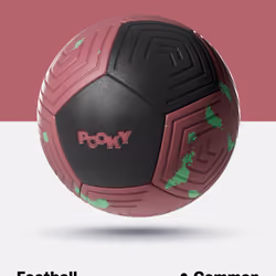 Common Pookyball #7444