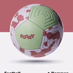 Common Pookyball #4540