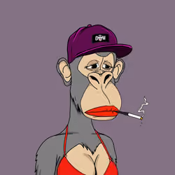 Desperate ApeWife #250