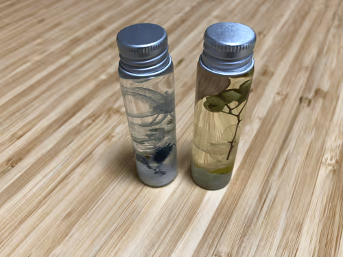 herbarium-kyok01-polygon