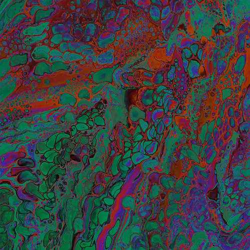 zospours.lens-Collect-4165