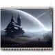 81