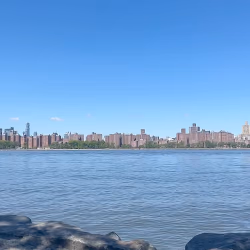 bradorbradley.lens-Collect-2185