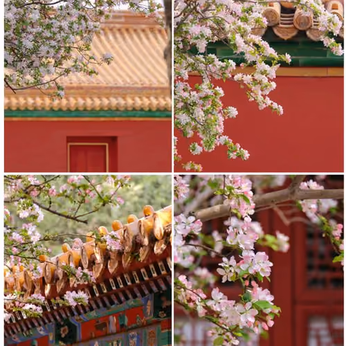 Post by @meteorgarden