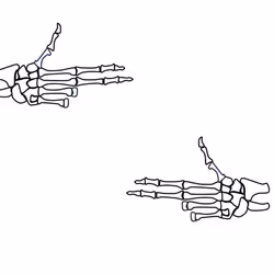 Guns