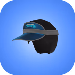 Tournament Visor