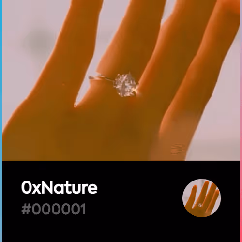 0xNature V2