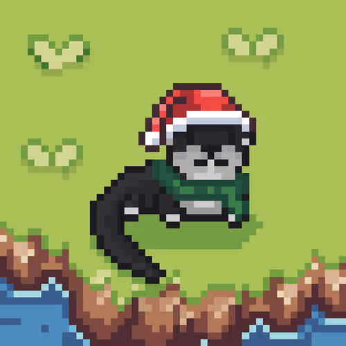 Project Dignity Otters