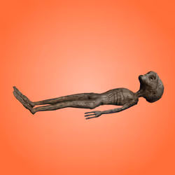 Nasca Alien