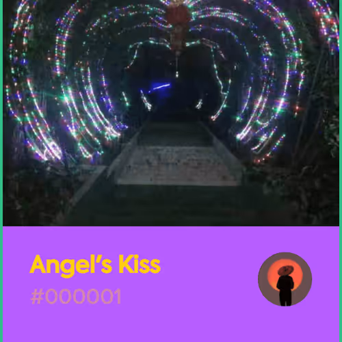 Angels Kiss