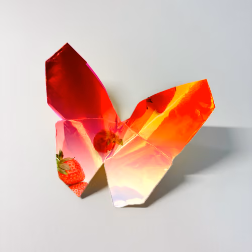 Origami Butterfly 003
