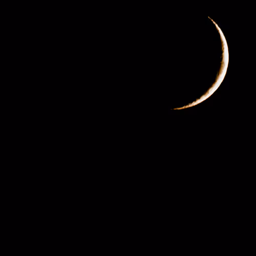 Item #1000000018 Media