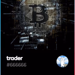 项目媒体占位符