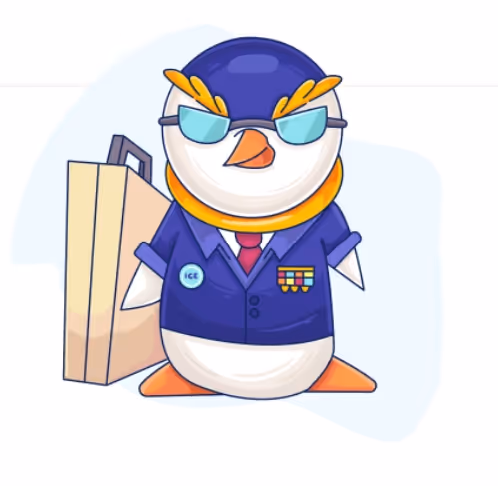 ICE NETWORK