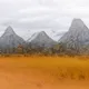 101