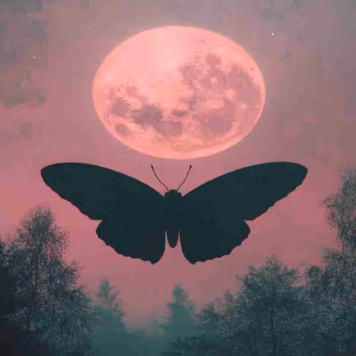 Lens Collect | Profile #309043 - Publication #124