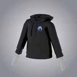 Quickswap Hoodie
