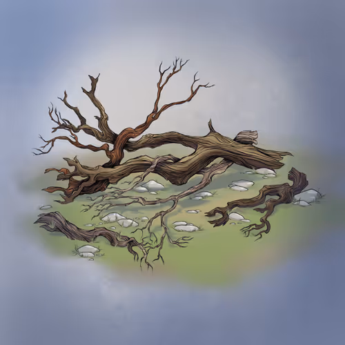 Omnichest