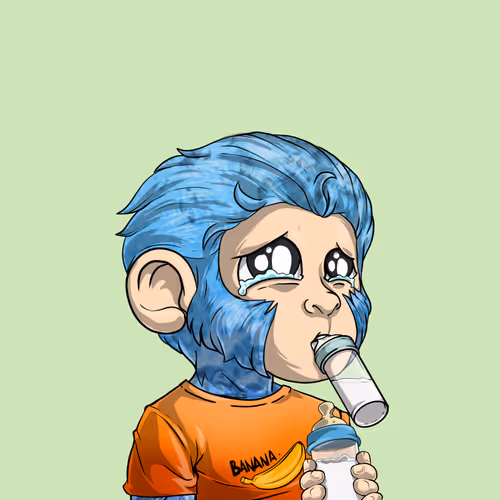 Baby Monkeys 6