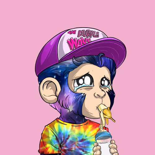 Baby Monkeys 6