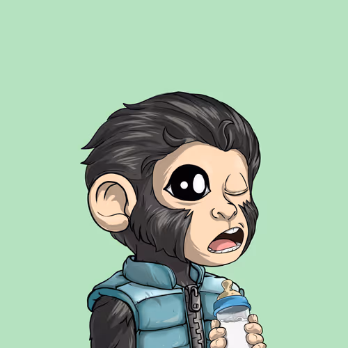 Baby Monkeys 6