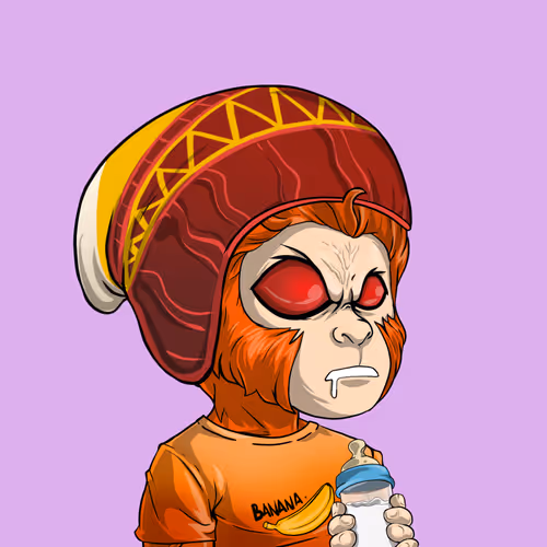 Baby Monkeys 6