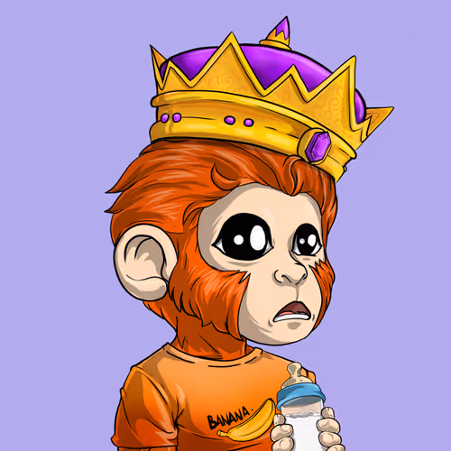 Baby Monkeys 6