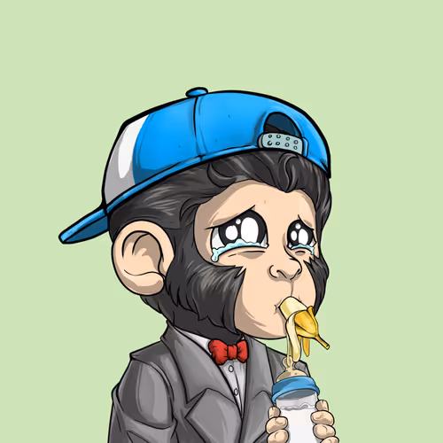 Baby Monkeys 6
