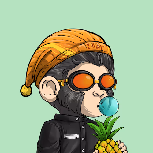 Baby Monkeys 6