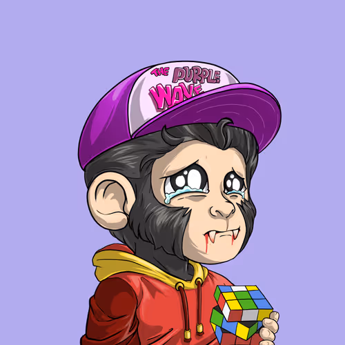 Baby Monkeys 6