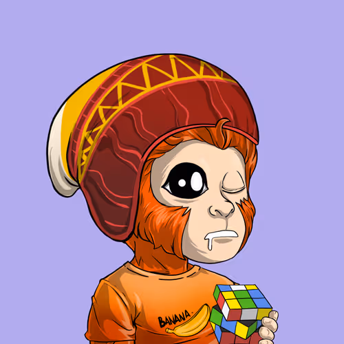 Baby Monkeys 6