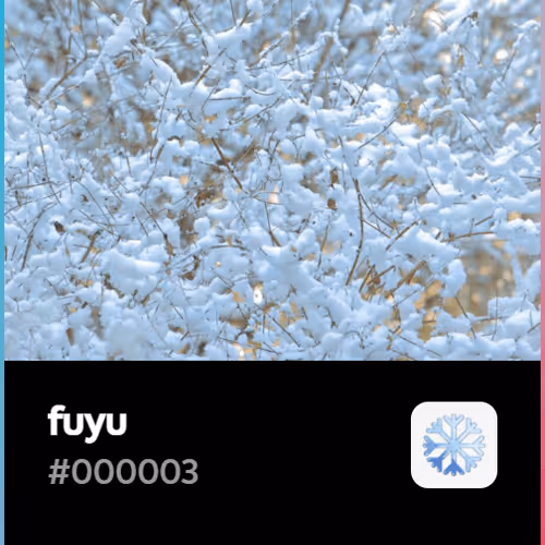 fuyu V2