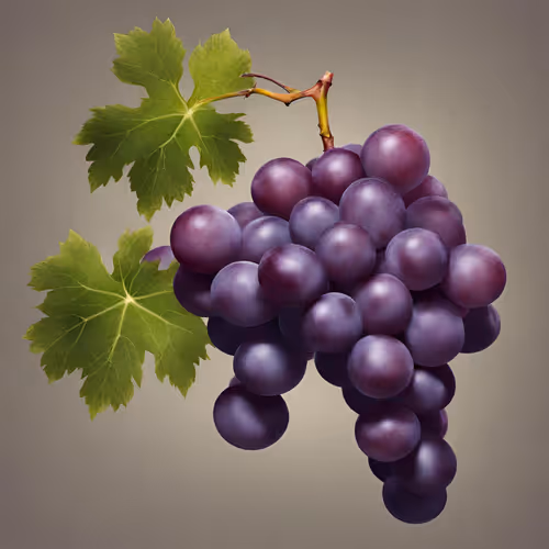 Grape