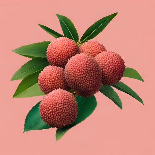 Lychee