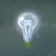 Silver Light Bulb