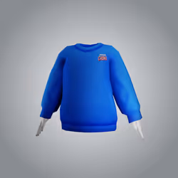 Crewneck Sweater