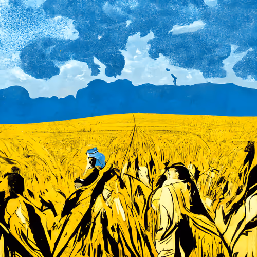Золоті поля зерна під чистим блакитним небом (Golden Fields of Grain Under a Clear Blue Sky)