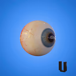 Eyeball Head