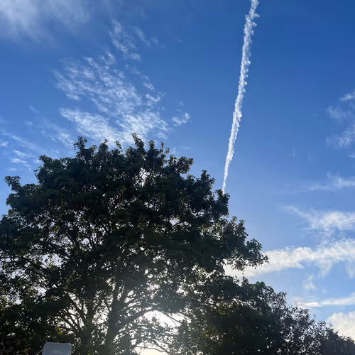 zospours.lens-Collect-5799