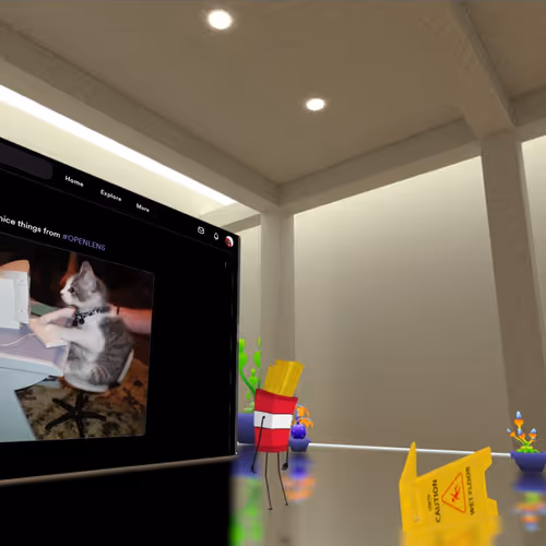 shassi.lens-Collect-293