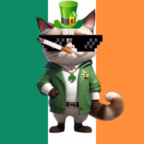Grumpy Cat on St Patrick's Day