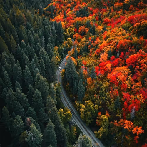 worldverse.lens-Collect-1518