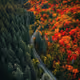 worldverse.lens-Collect-1518